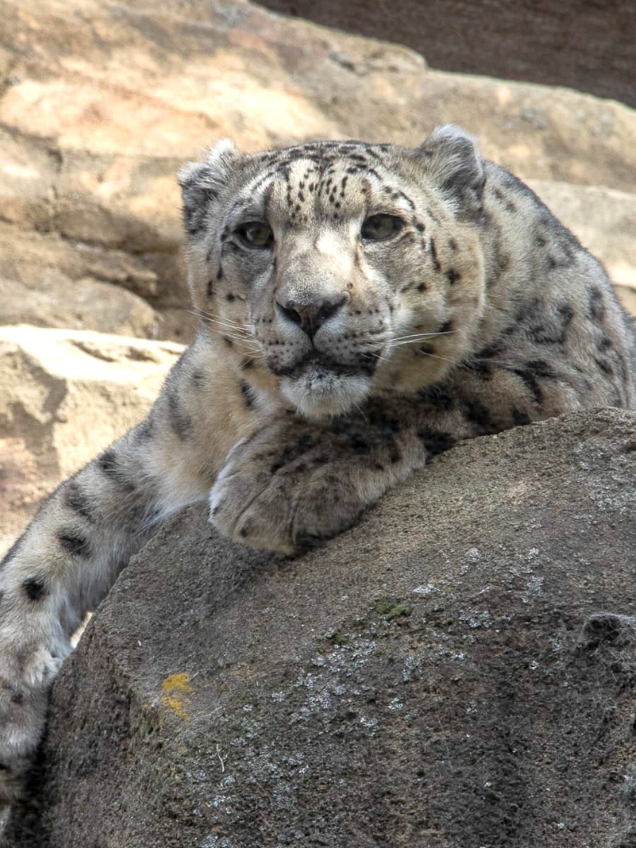 Alaska Zoo, Anchorage Alaska Zoo, Anchorage