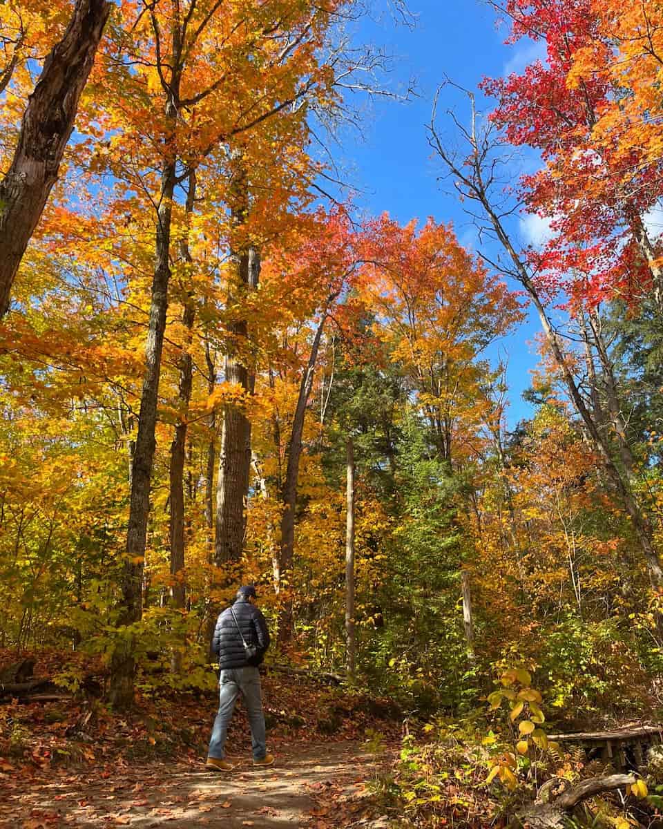 Algonquin Provincial Park, Canada Algonquin Provincial Park, Canada