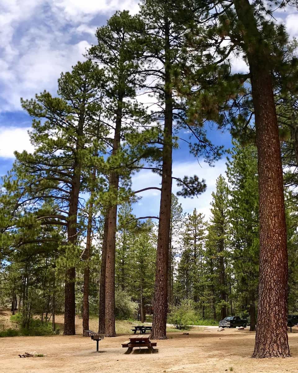 Aspen Glen Picnic Area Aspen Glen Picnic Area