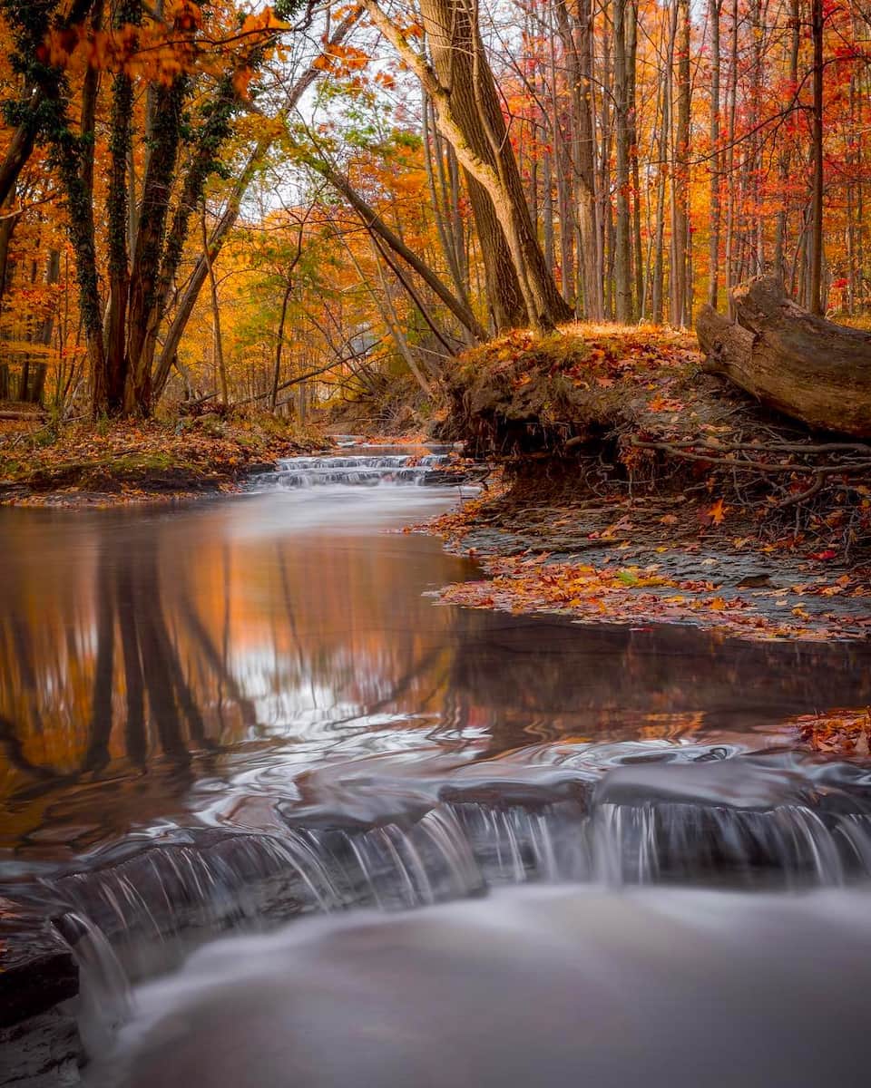 Autumn in Cleveland Autumn in Cleveland