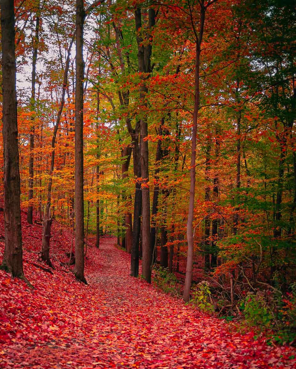 Autumn in Cleveland Autumn in Cleveland
