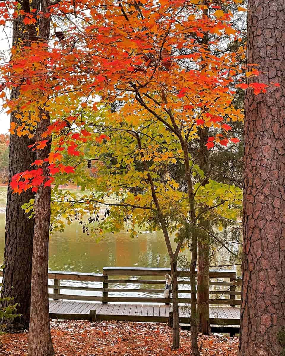 Autumn in Estes Park Autumn in Estes Park