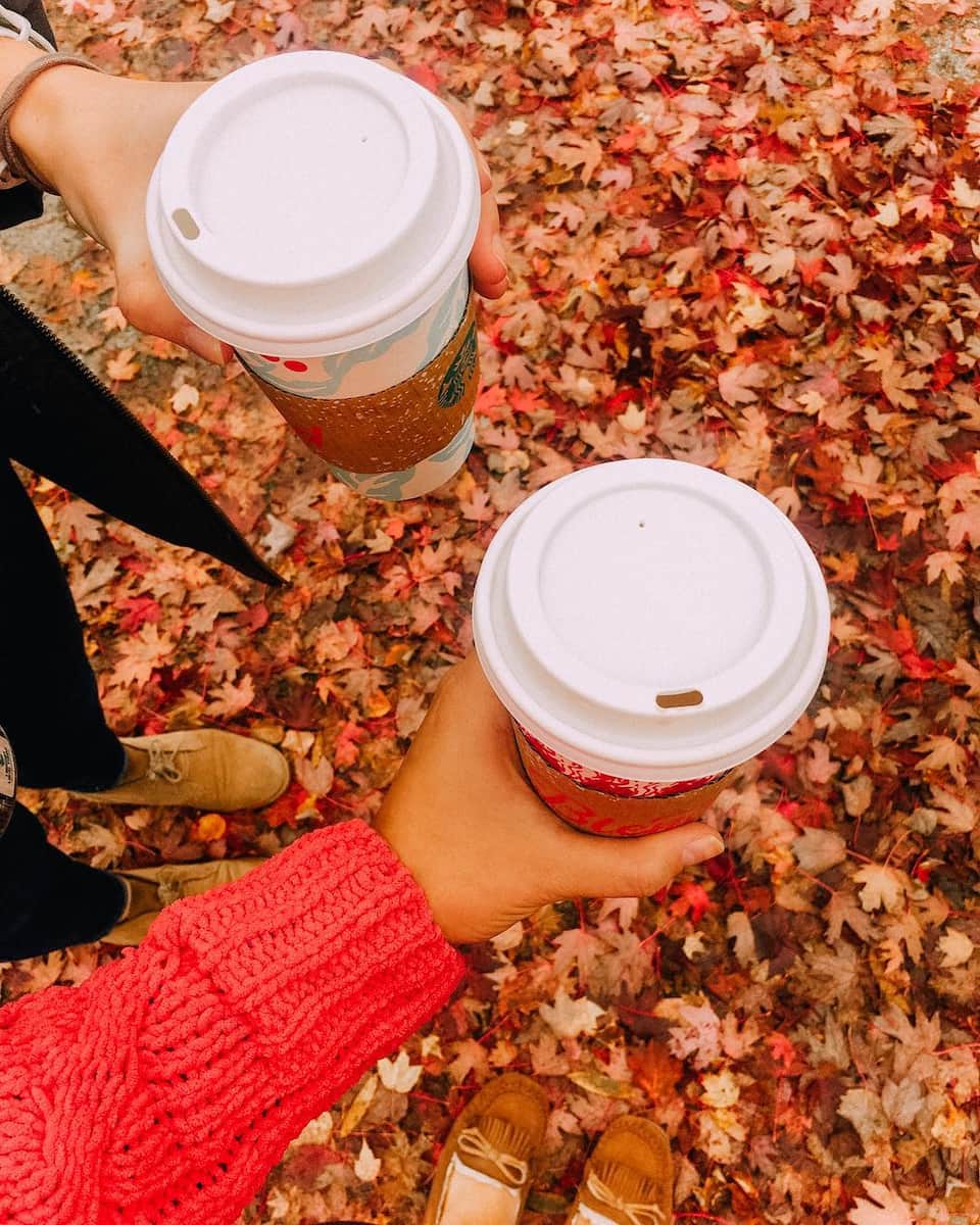 Fall in Lexington Fall in Lexington