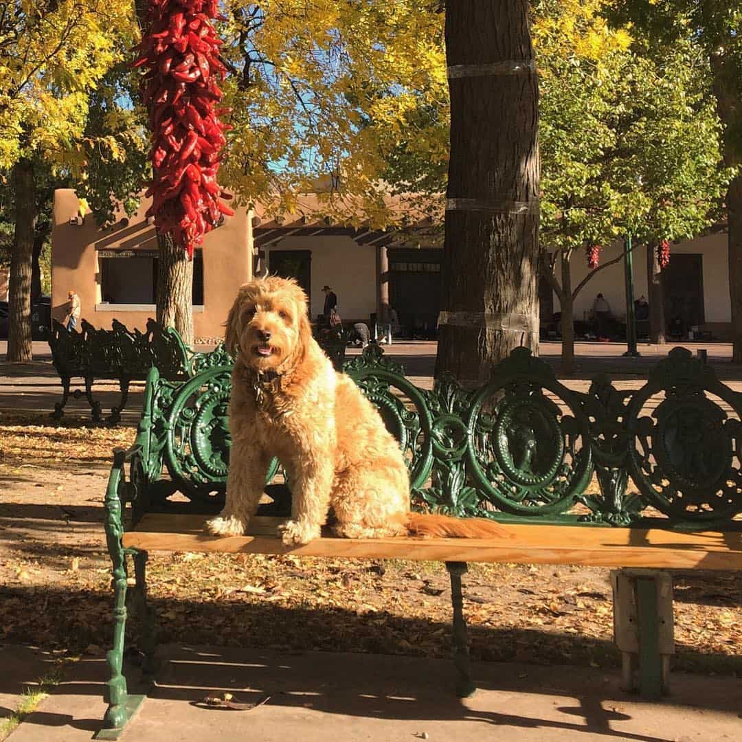Autumn in Santa Fe Autumn in Santa Fe