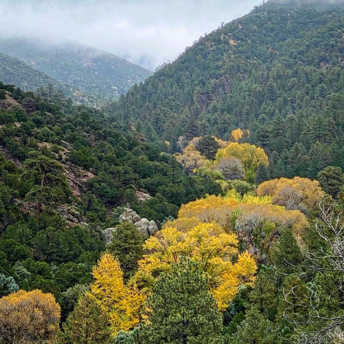 Autumn in Santa Fe Autumn in Santa Fe