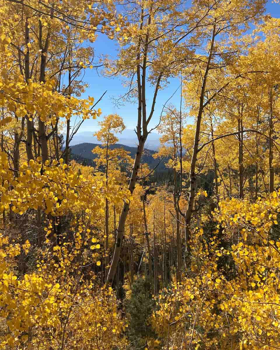 Autumn in Santa Fe Autumn in Santa Fe