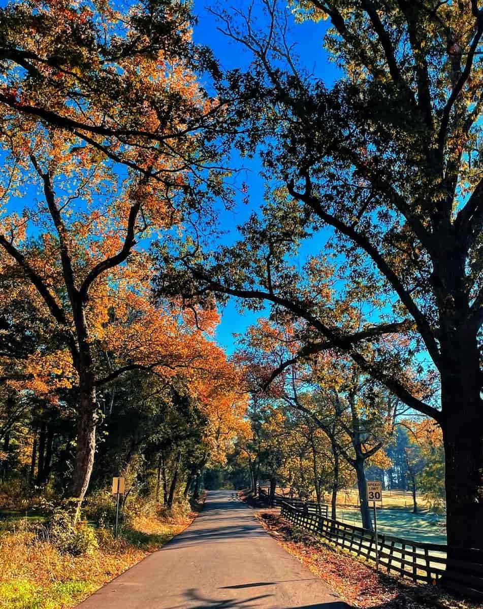 Autumn in Jacksonville Autumn in Jacksonville
