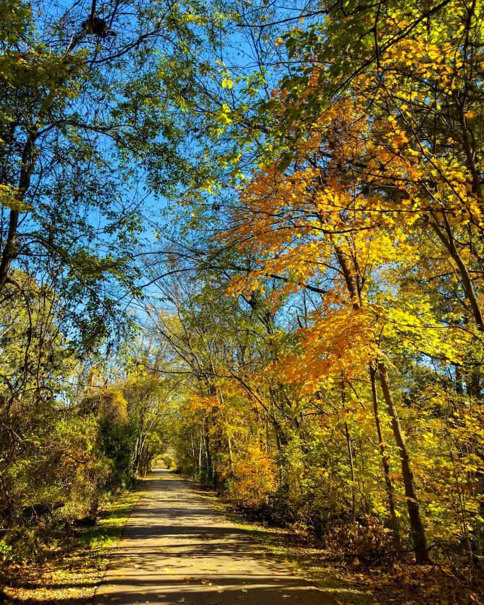 Autumn in Memphis Autumn in Memphis