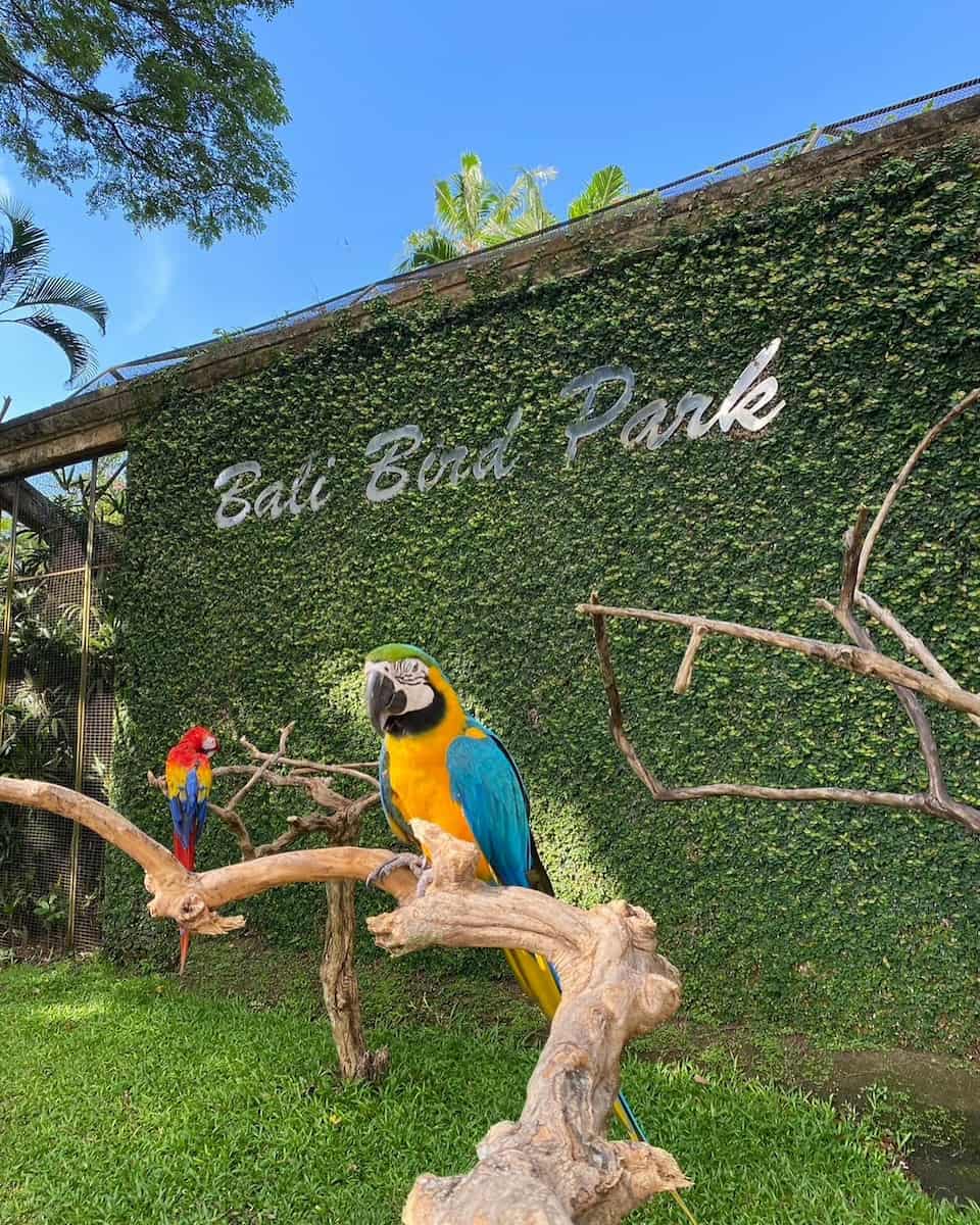 Bali Bird Park Bali Bird Park