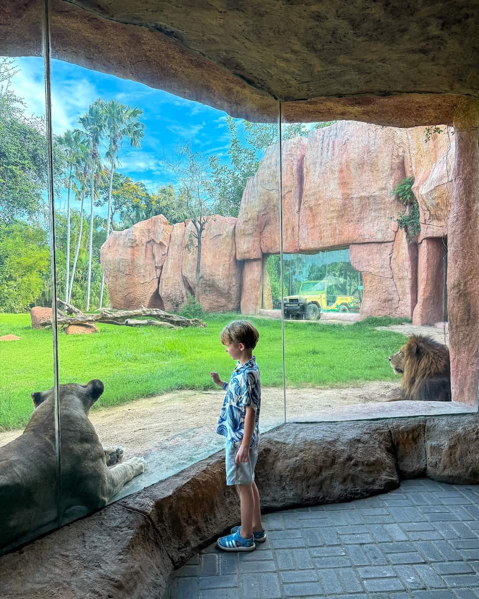 Bali Zoo Bali Zoo