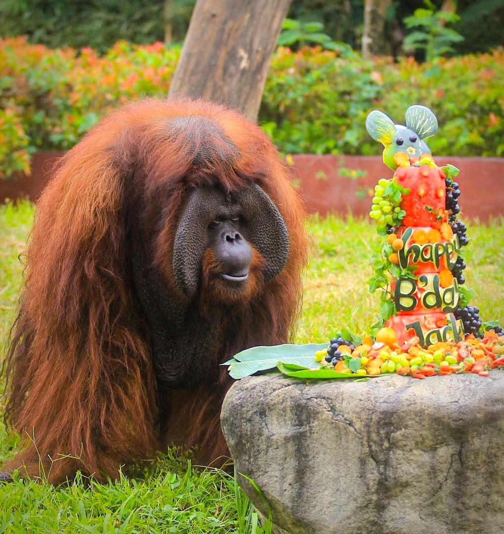Bali Zoo Bali Zoo
