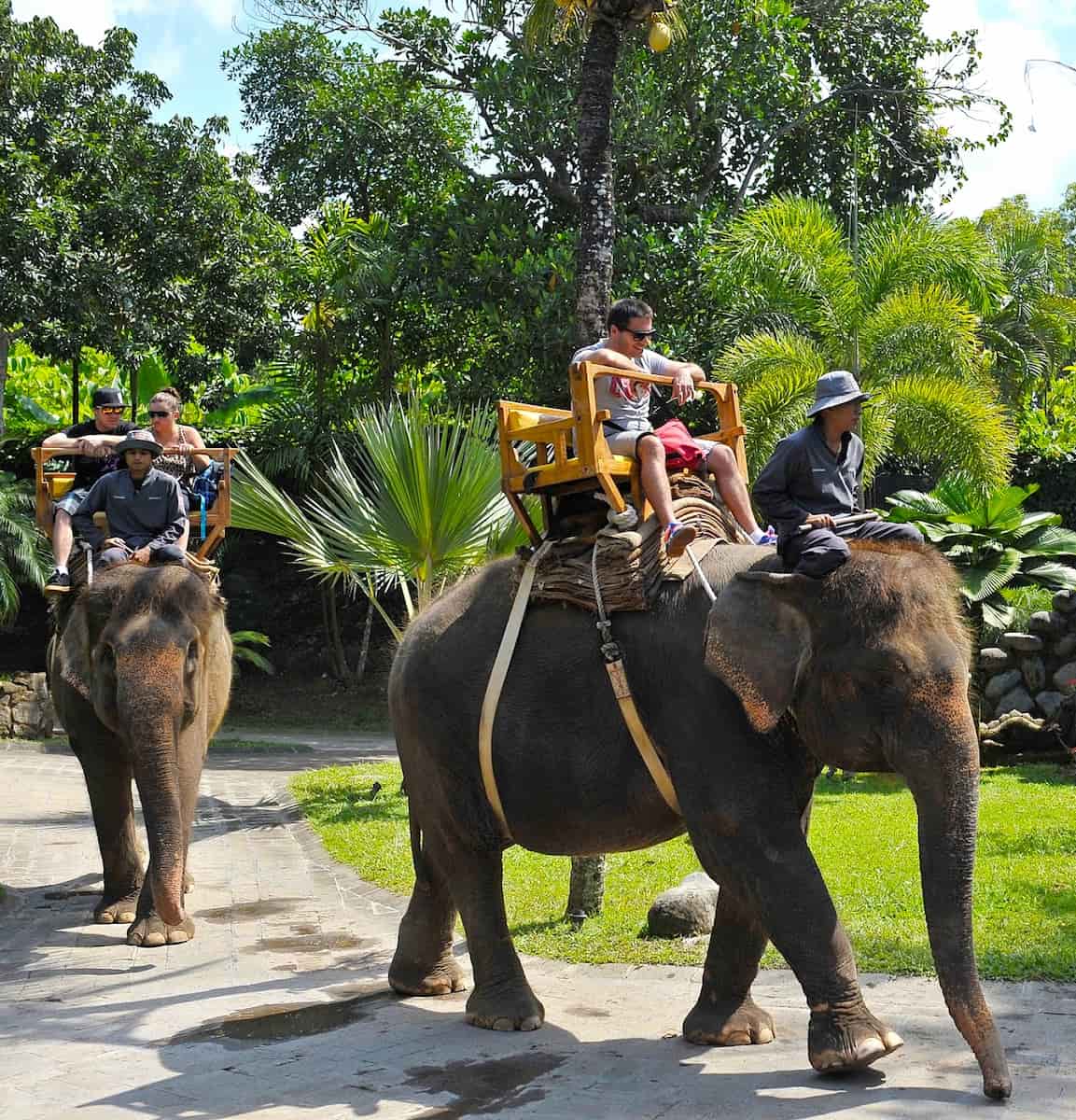 Bali Zoo Bali Zoo