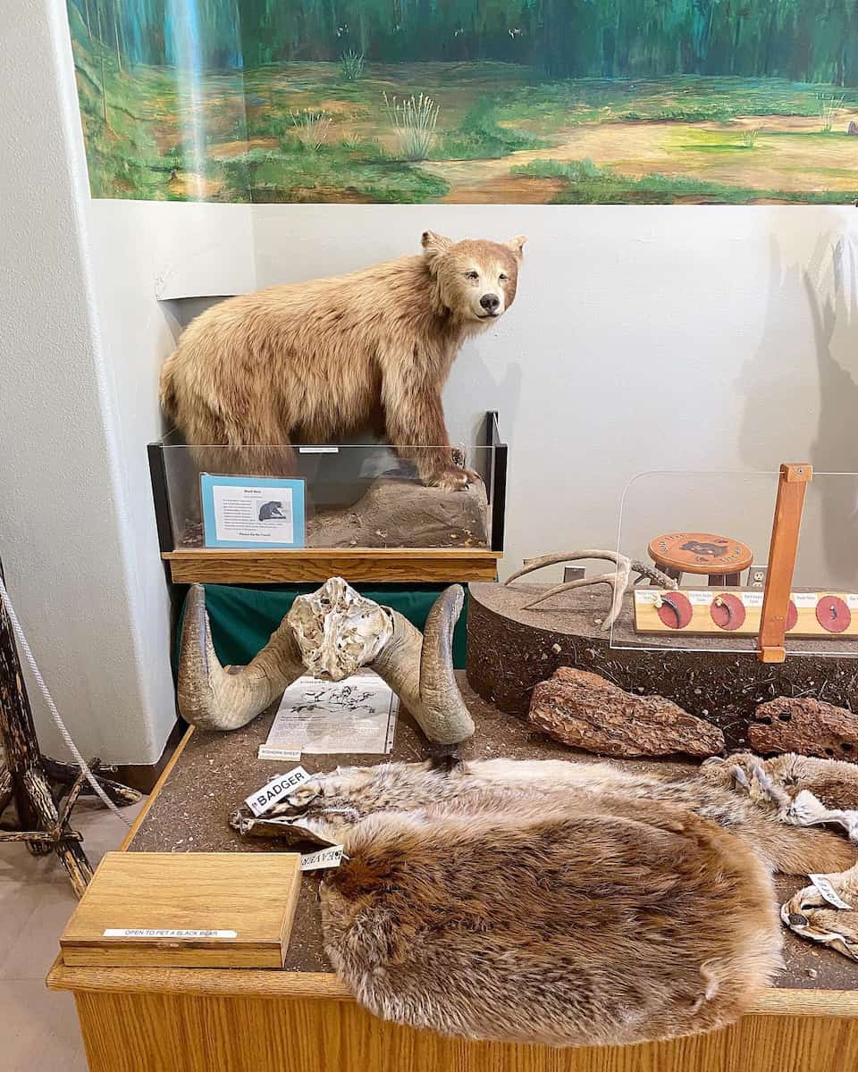 Big Bear Discovery Center Big Bear Discovery Center