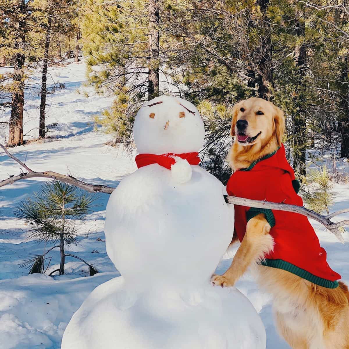 Big Bear Snow Play Big Bear Snow Play