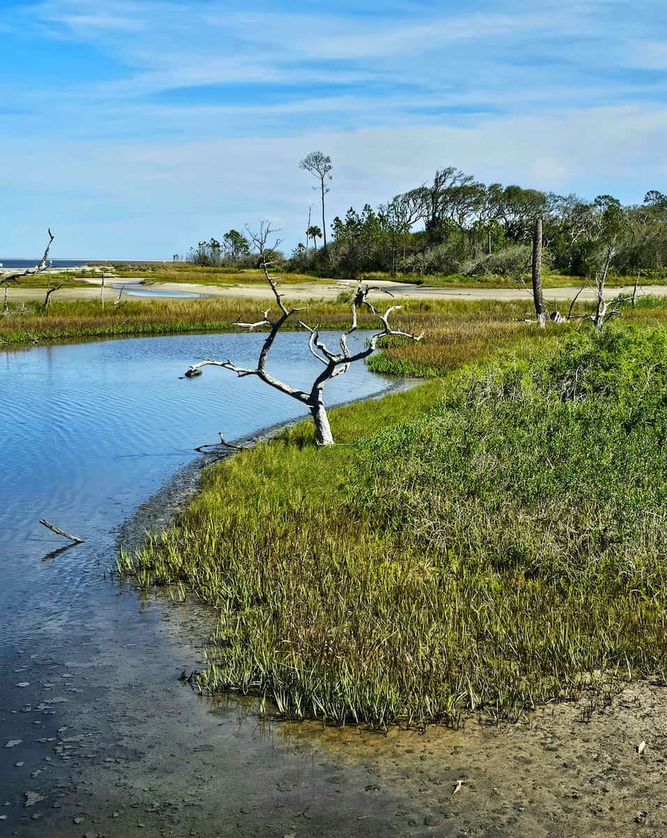 Big Talbot Island State Park, FL Big Talbot Island State Park, FL