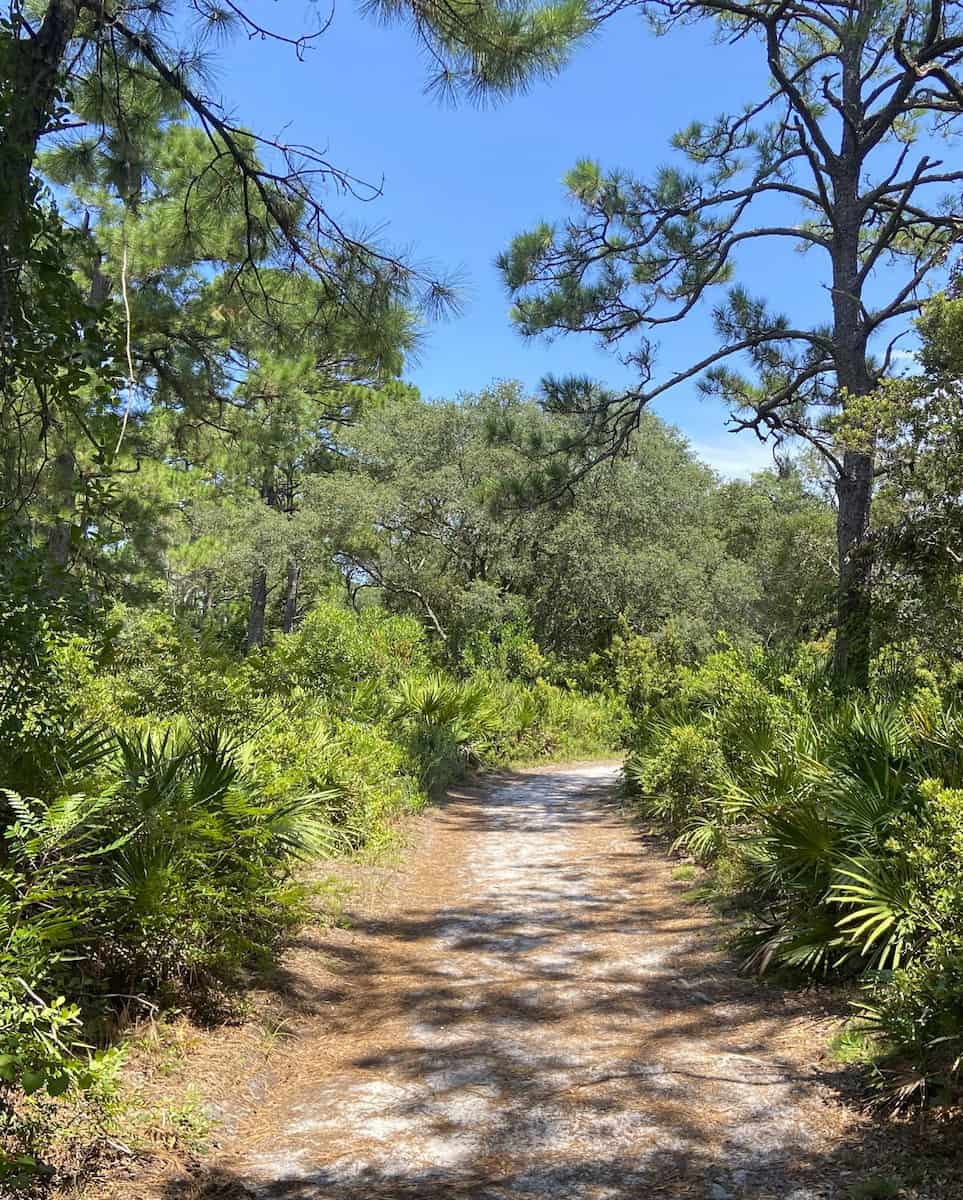 Big Talbot Island State Park, FL Big Talbot Island State Park, FL