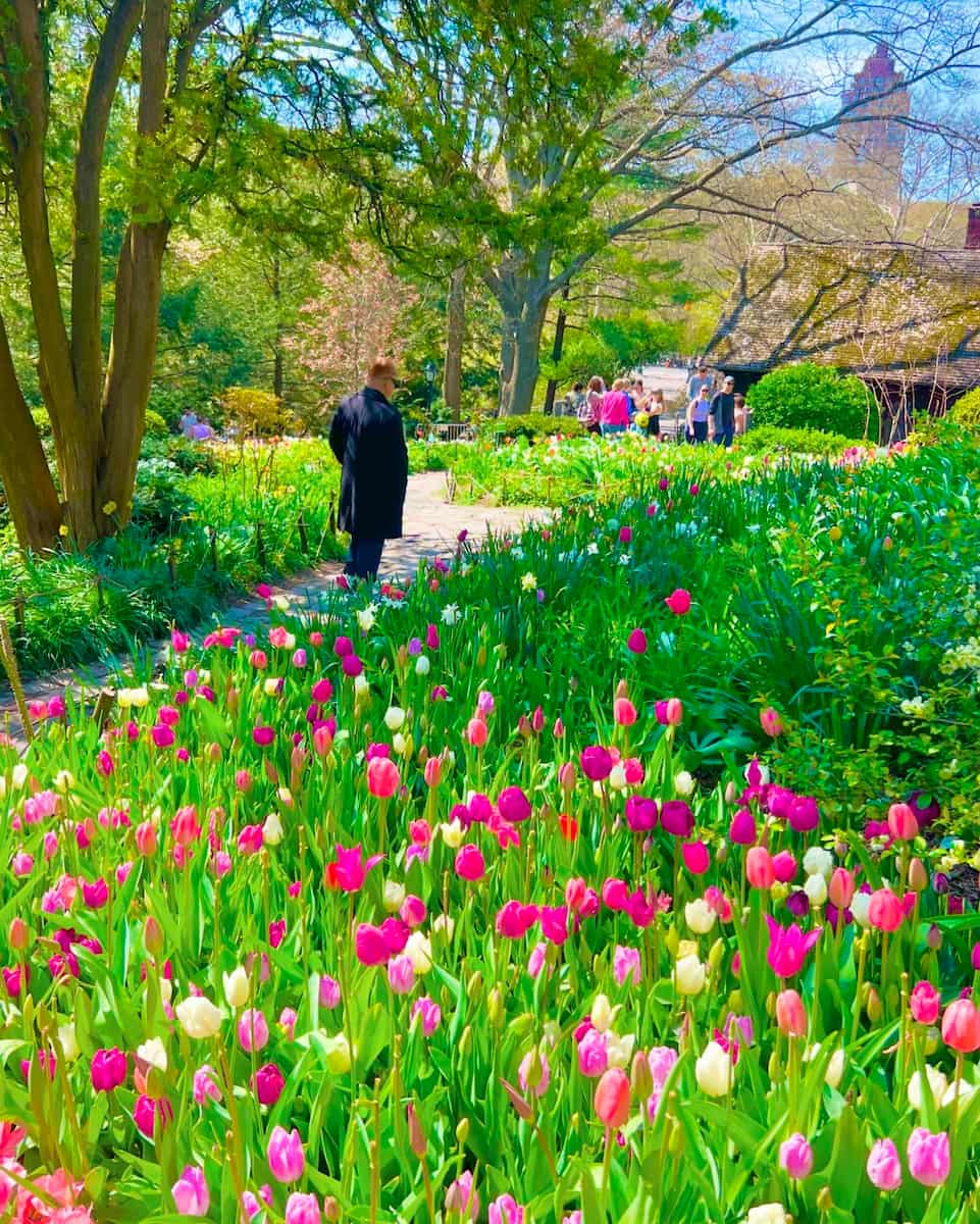 Brooklyn Botanic Garden Brooklyn Botanic Garden