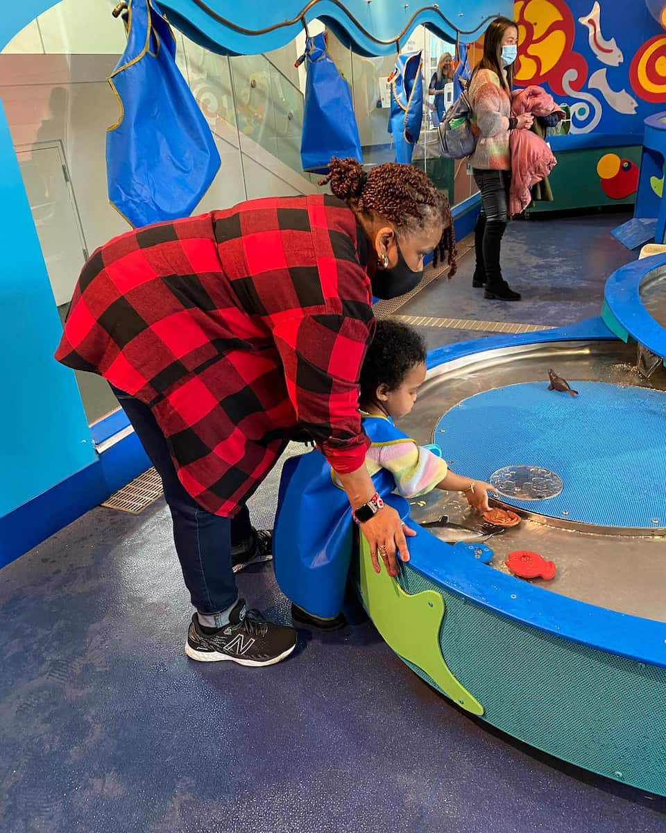 Brooklyn Children’s Museum Brooklyn Children’s Museum