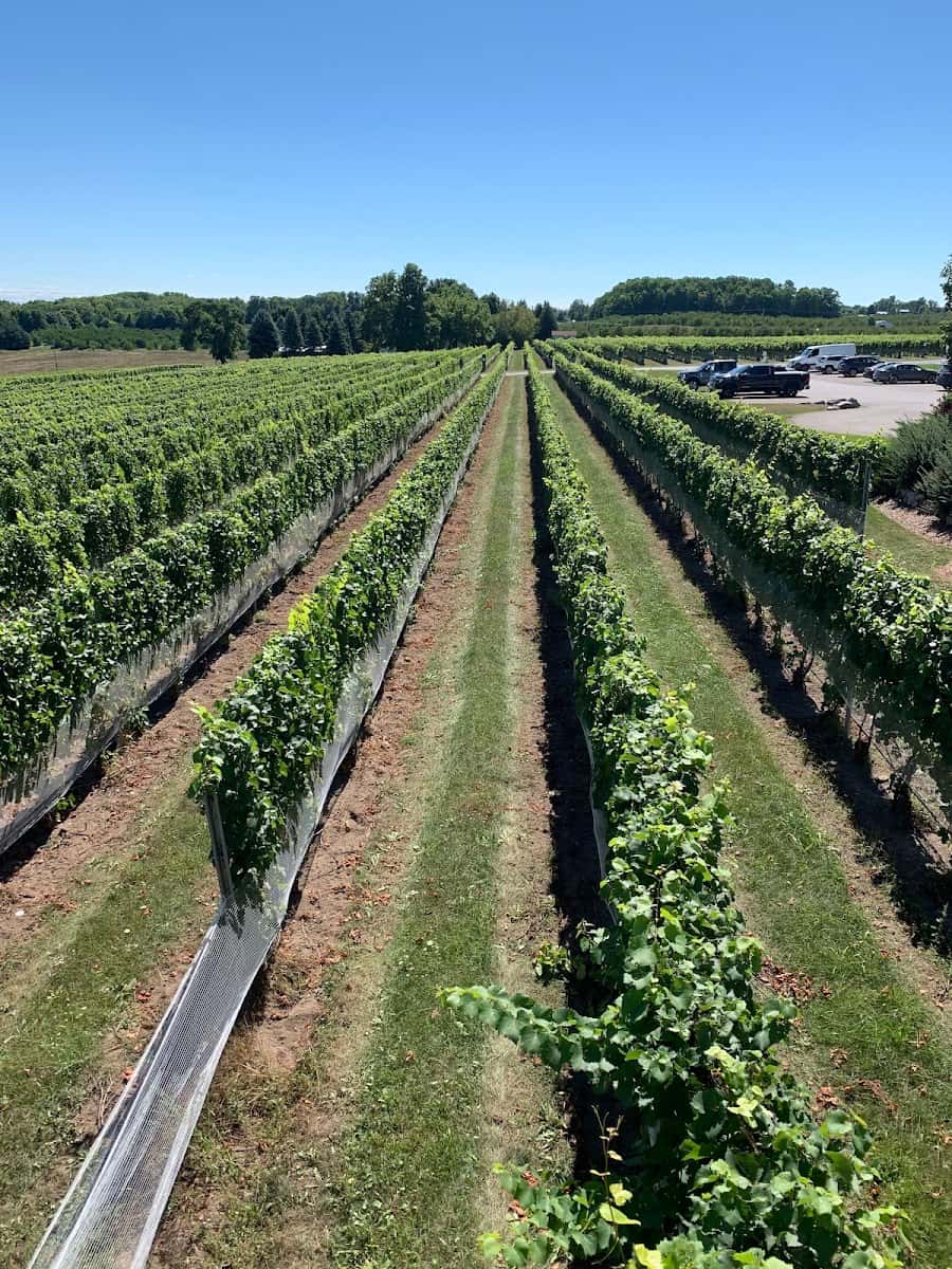 Brys Estate Vineyard & Winery, Traverse City, US Brys Estate Vineyard & Winery, Traverse City, US
