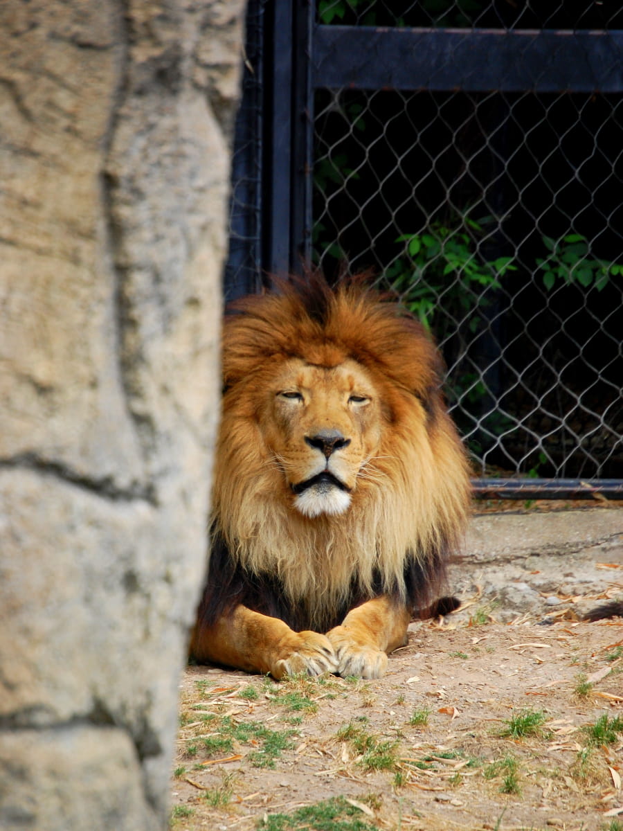 Cameron Park Zoo, Waco, TX Cameron Park Zoo, Waco, TX