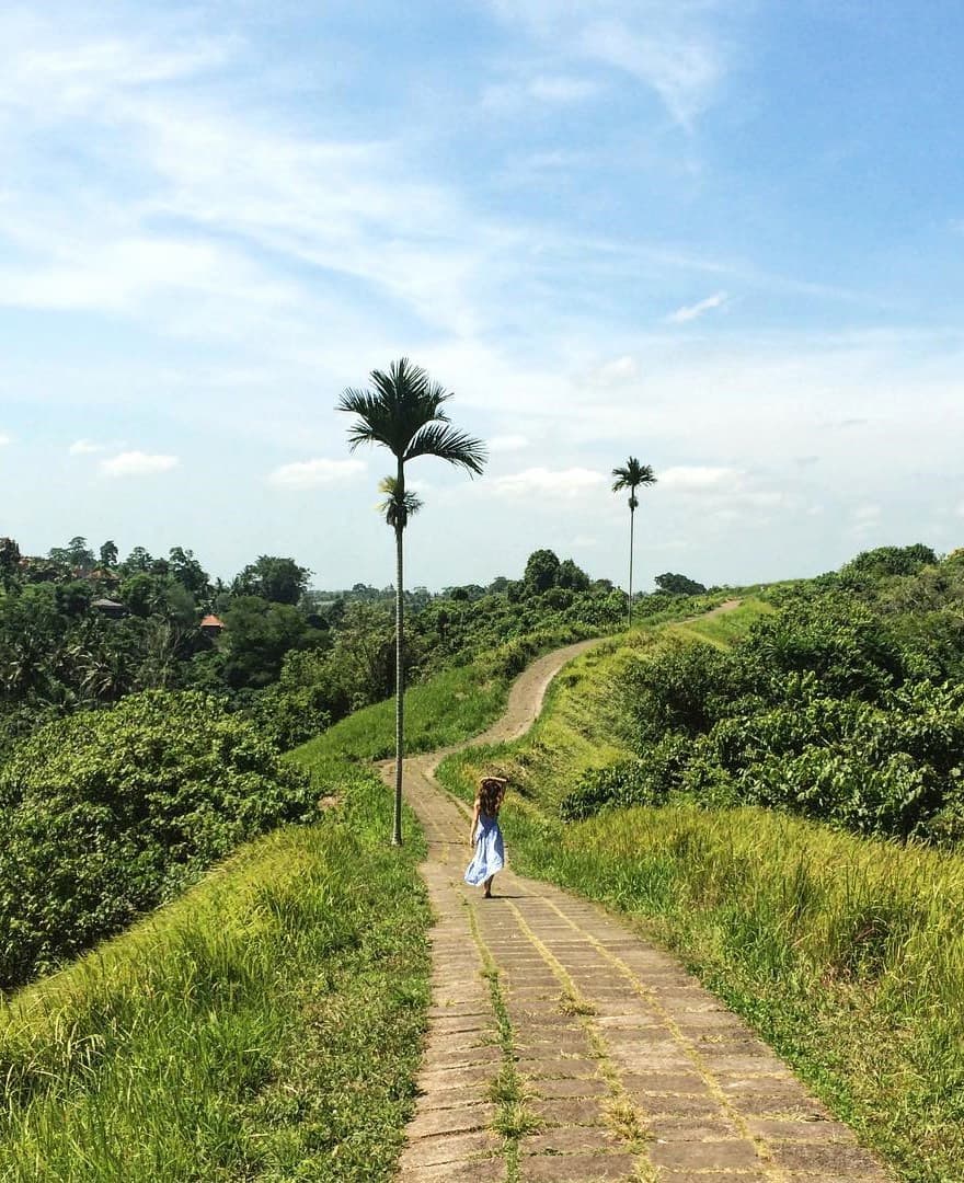 Campuhan Ridge Walk, Bali Campuhan Ridge Walk, Bali