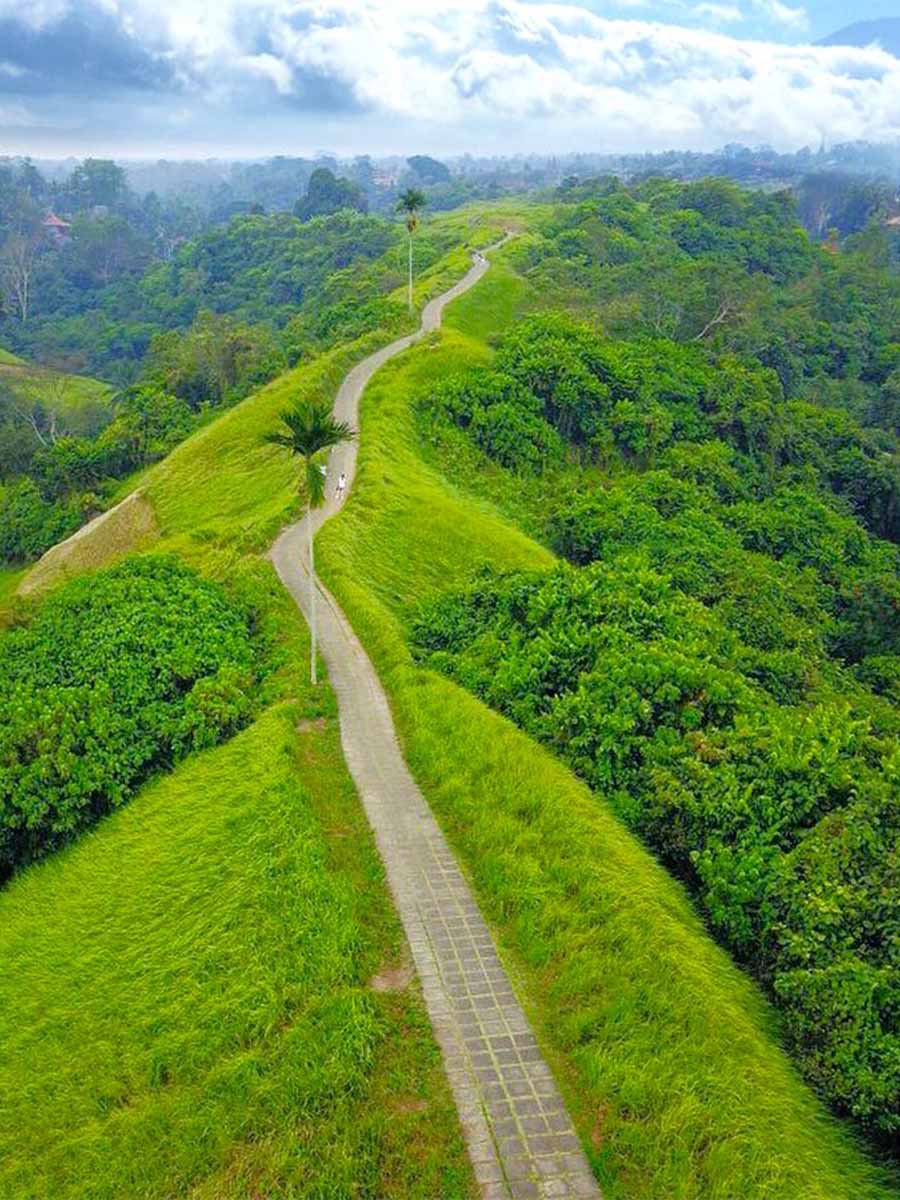 Campuhan Ridge Walk, Bali Campuhan Ridge Walk, Bali