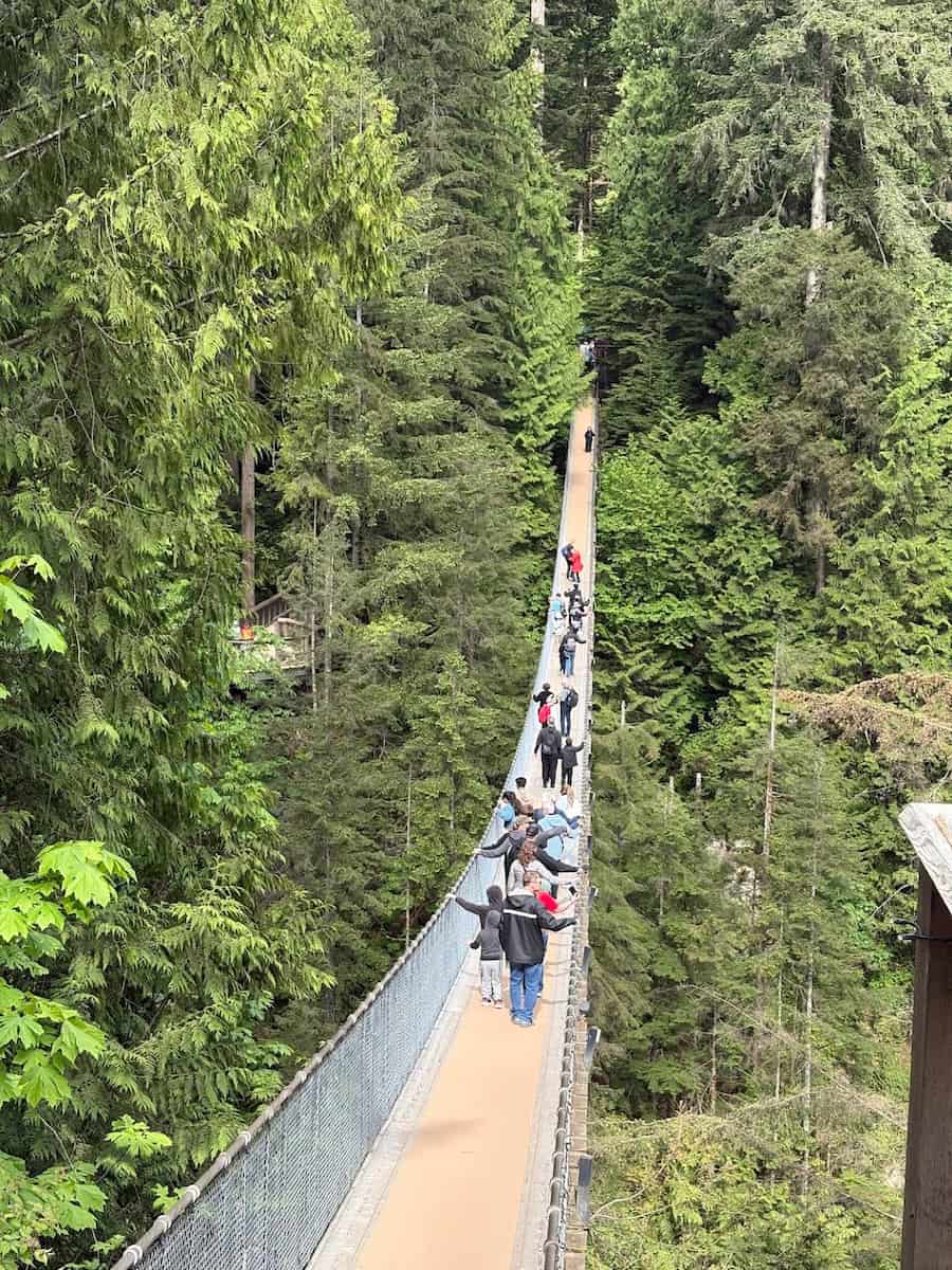 Capilano Suspension Bridge Capilano Suspension Bridge