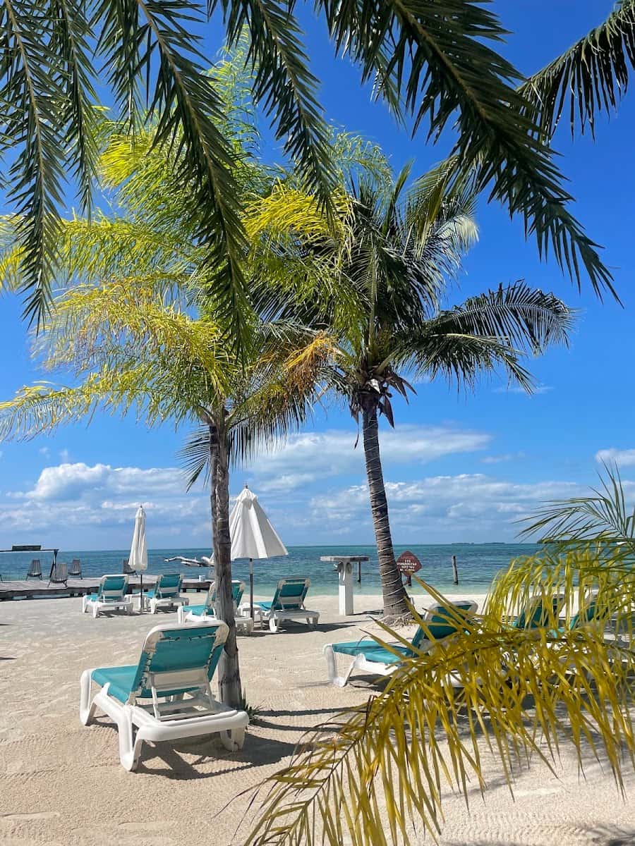 Caye Caulker Island, Belize Caye Caulker Island, Belize