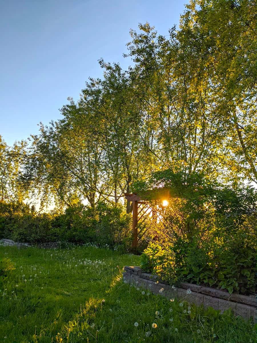 Centennial Rose Garden, Anchorage Centennial Rose Garden, Anchorage