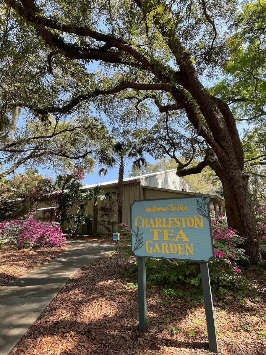Charleston Tea Plantation, South Carolina Charleston Tea Plantation, South Carolina