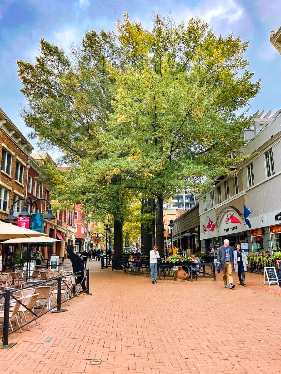Charlottesville, VA Charlottesville, VA