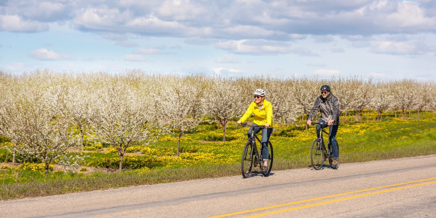 Cherry Blossom M-37, Traverse City Cherry Blossom M-37, Traverse City