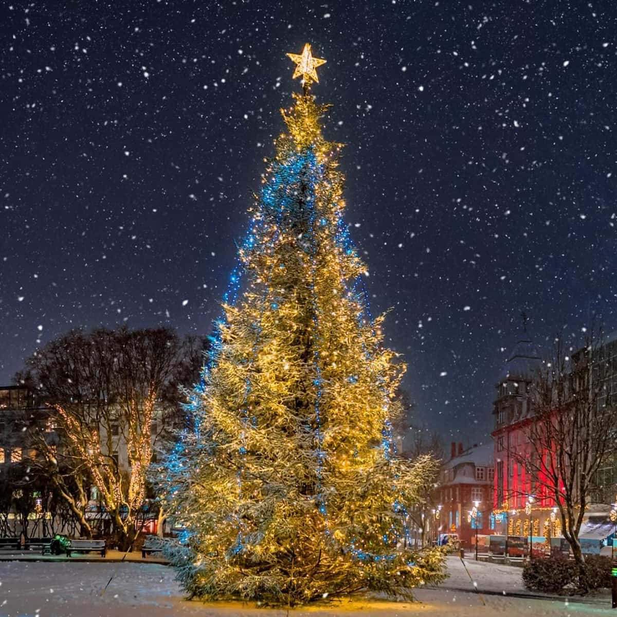 Christmas in Iceland Christmas in Iceland
