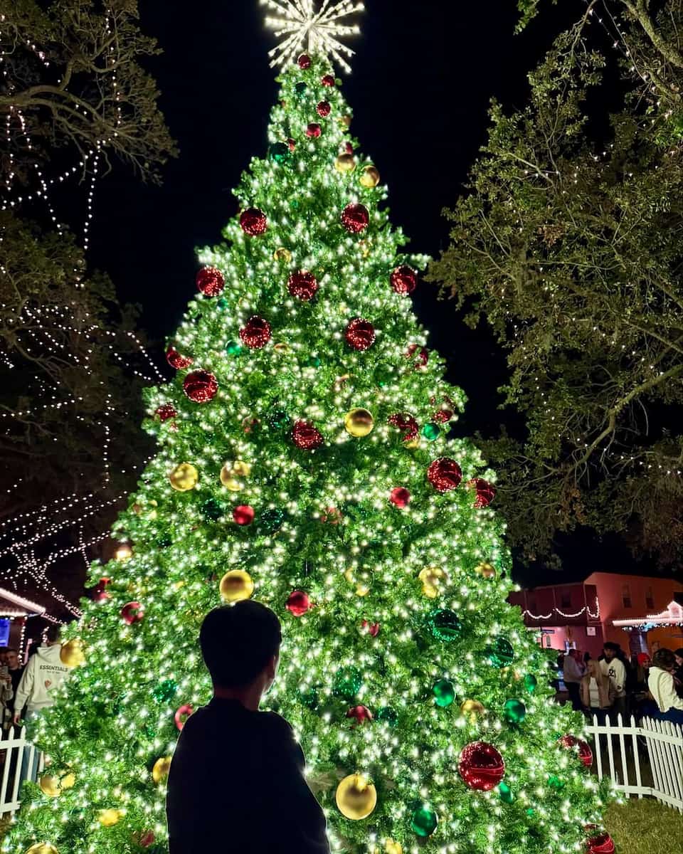 Christmas in Jacksonville Christmas in Jacksonville