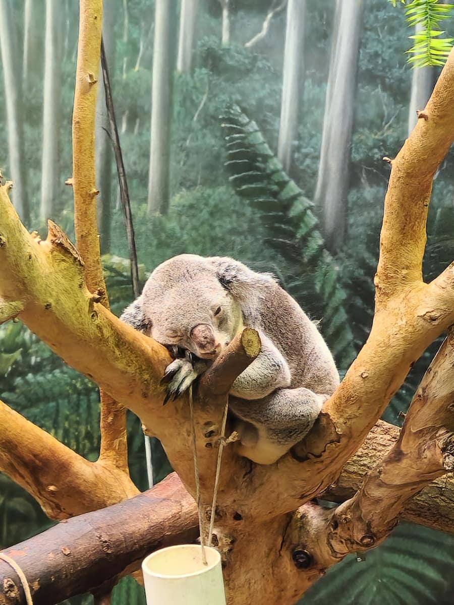 Cleveland Metroparks Zoo Cleveland Metroparks Zoo