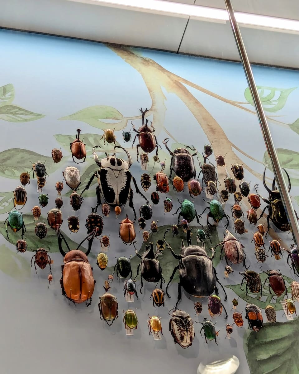Cleveland Museum of Natural History Cleveland Museum of Natural History