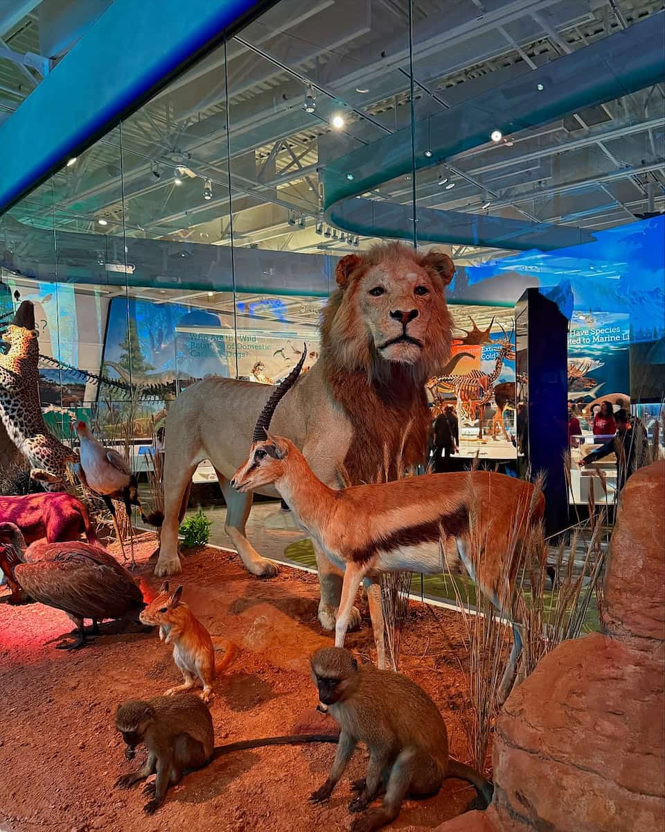 Cleveland Museum of Natural History Cleveland Museum of Natural History