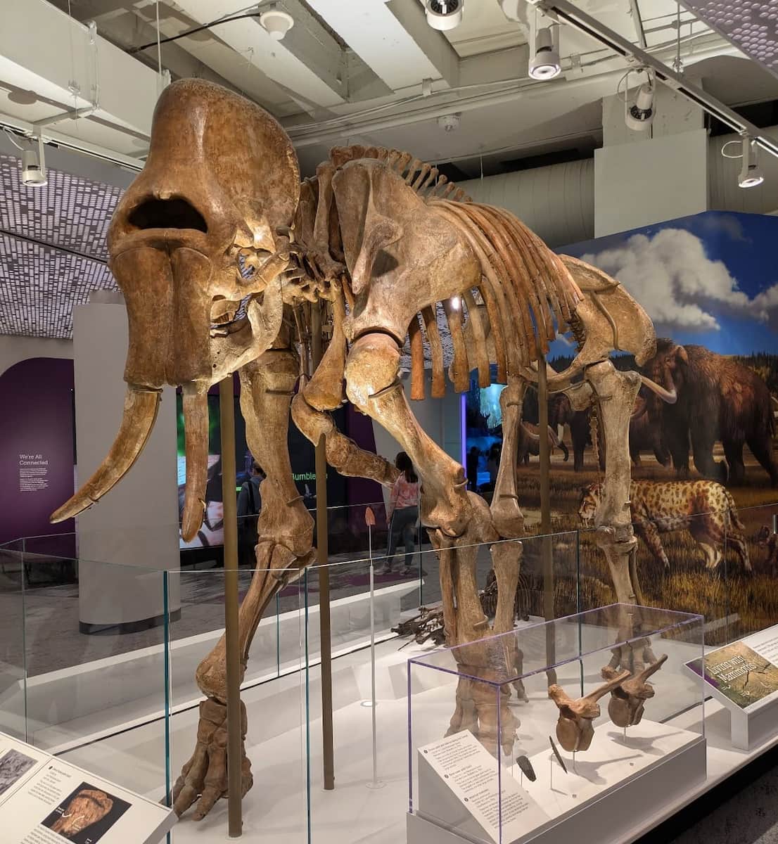 Cleveland Museum of Natural History Cleveland Museum of Natural History