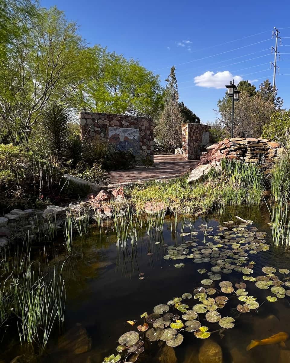 El Paso Desert Botanical Garden El Paso Desert Botanical Garden