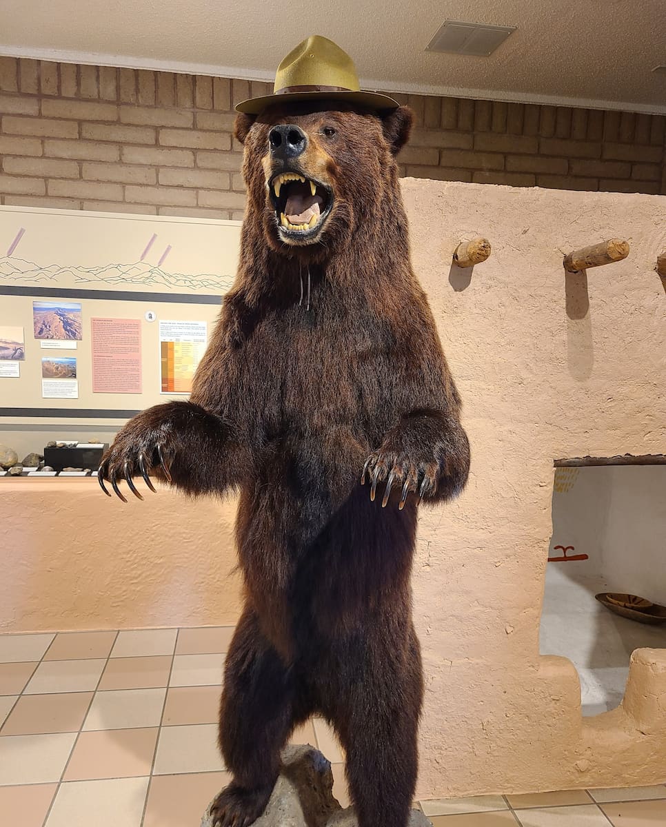 El Paso Museum of Archaeology El Paso Museum of Archaeology