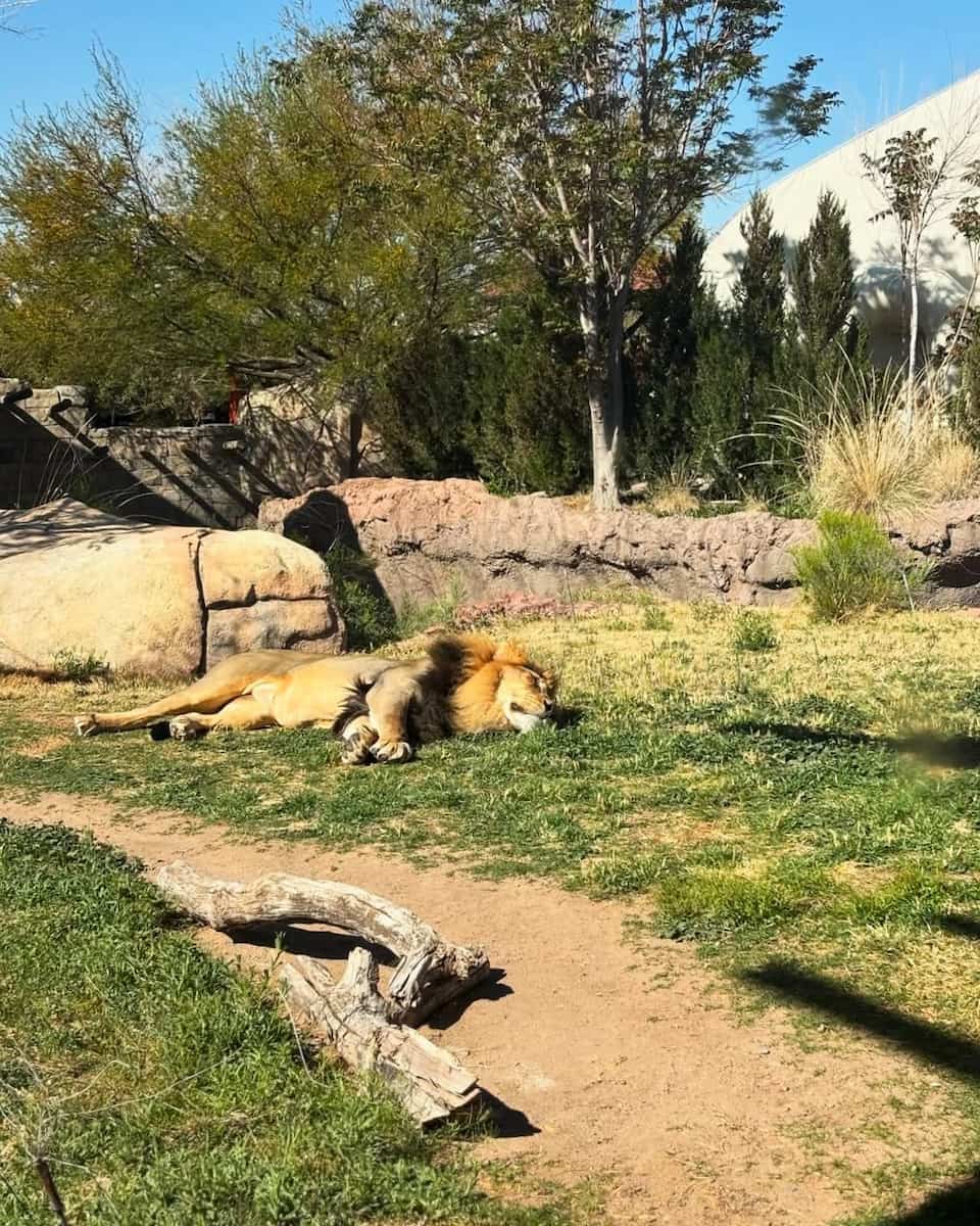 El Paso Zoo and Botanical Gardens El Paso Zoo and Botanical Gardens