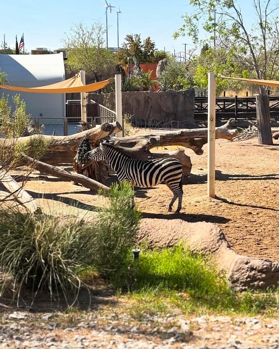 El Paso Zoo and Botanical Gardens El Paso Zoo and Botanical Gardens
