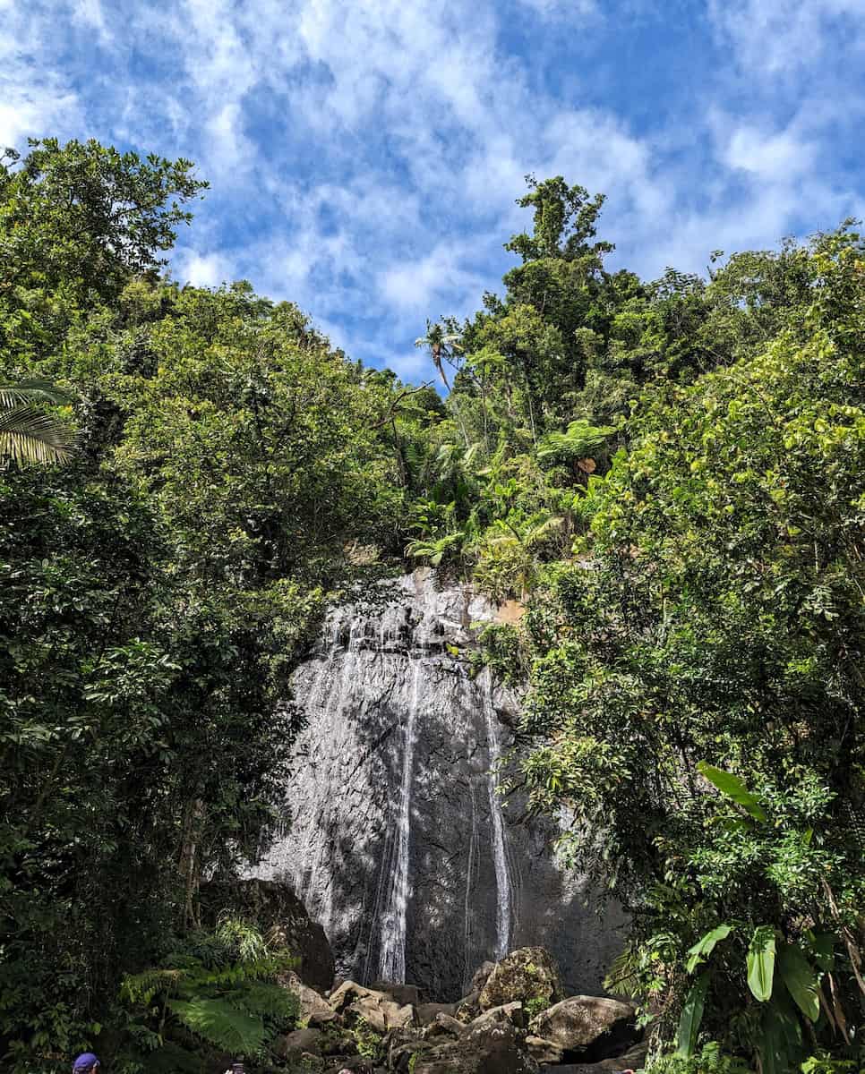 El Yunque National Forest El Yunque National Forest