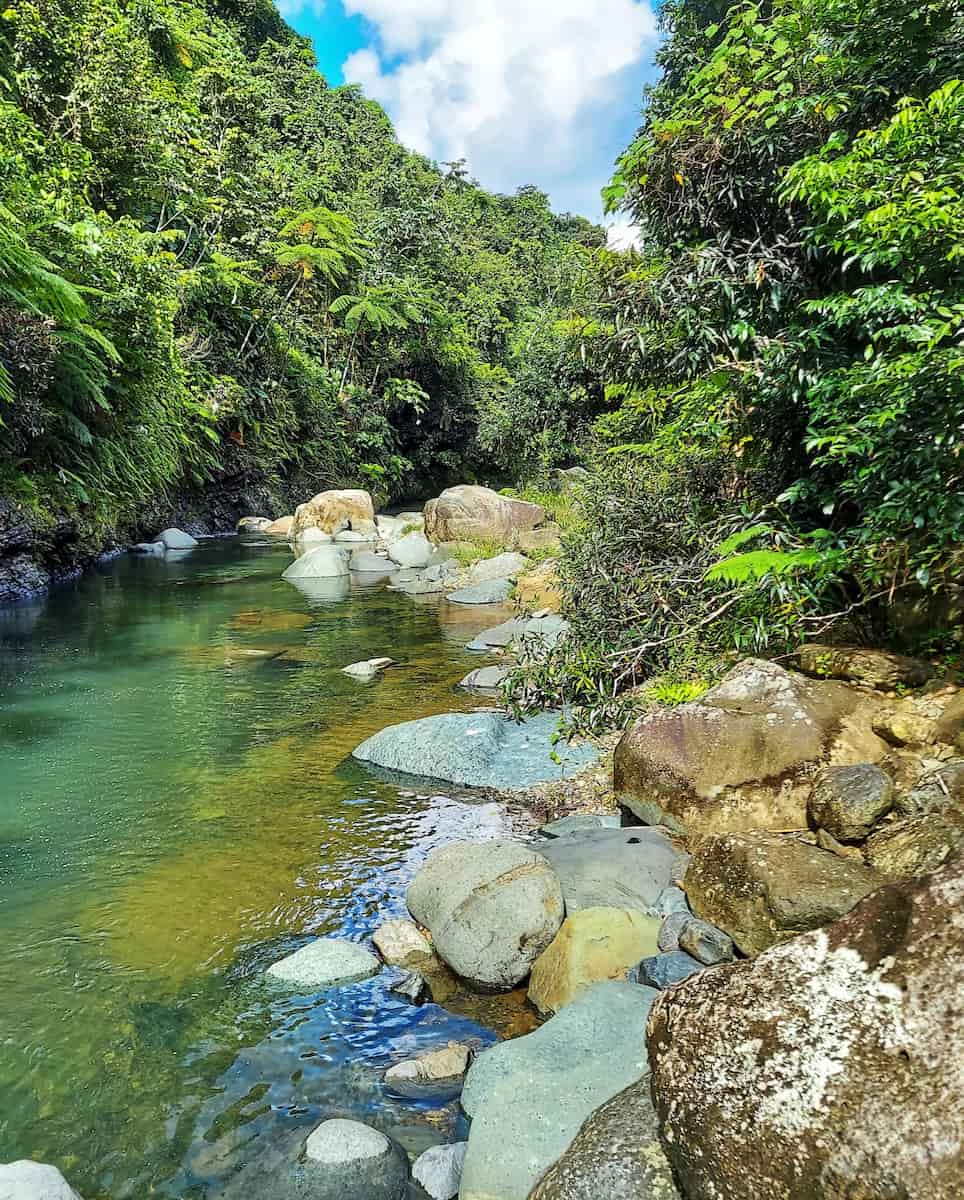 El Yunque National Forest El Yunque National Forest