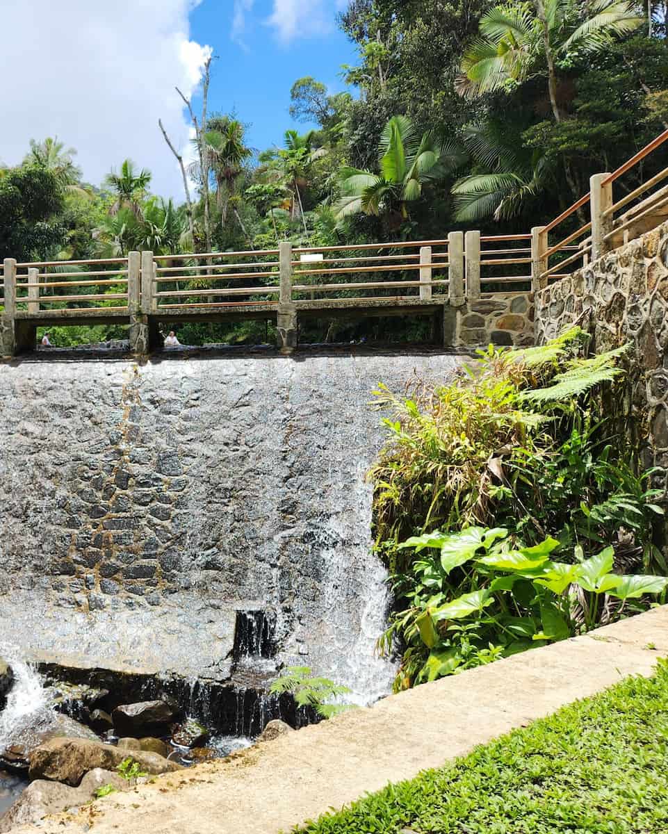 El Yunque National Forest El Yunque National Forest