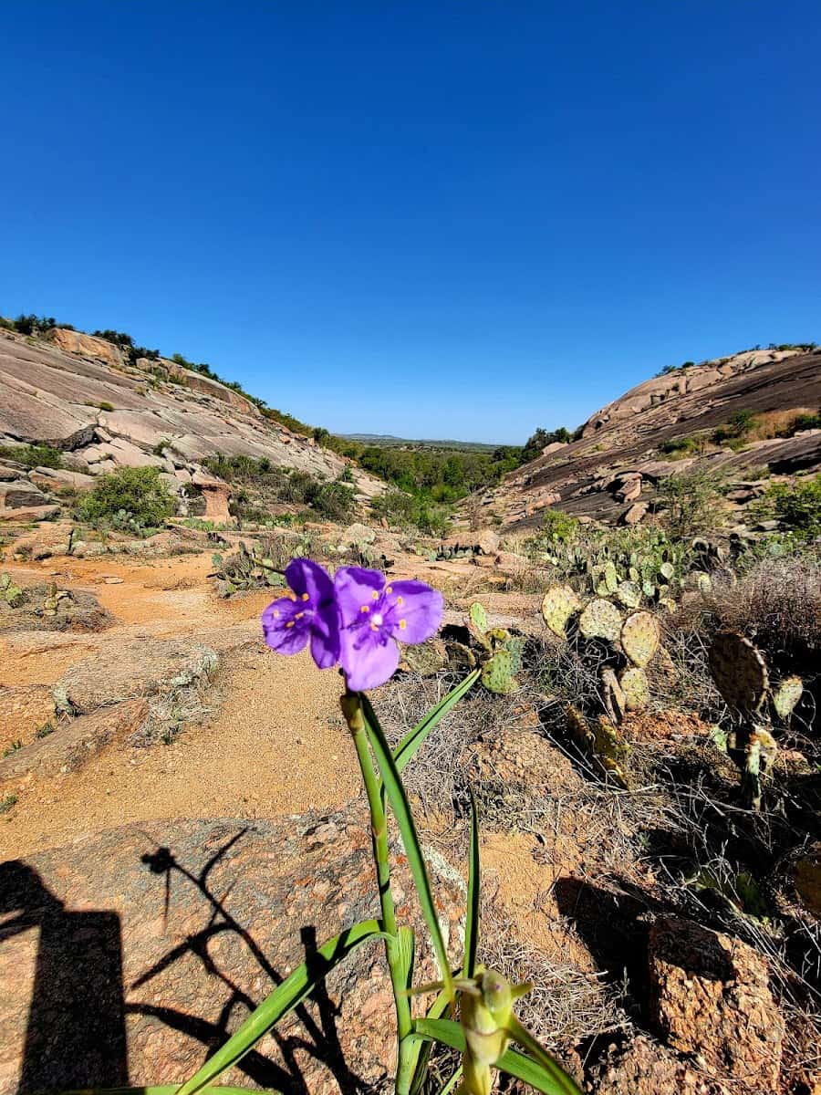 Enchanted Rock State Natural Area, Fredericksburg, TX Enchanted Rock State Natural Area, Fredericksburg, TX