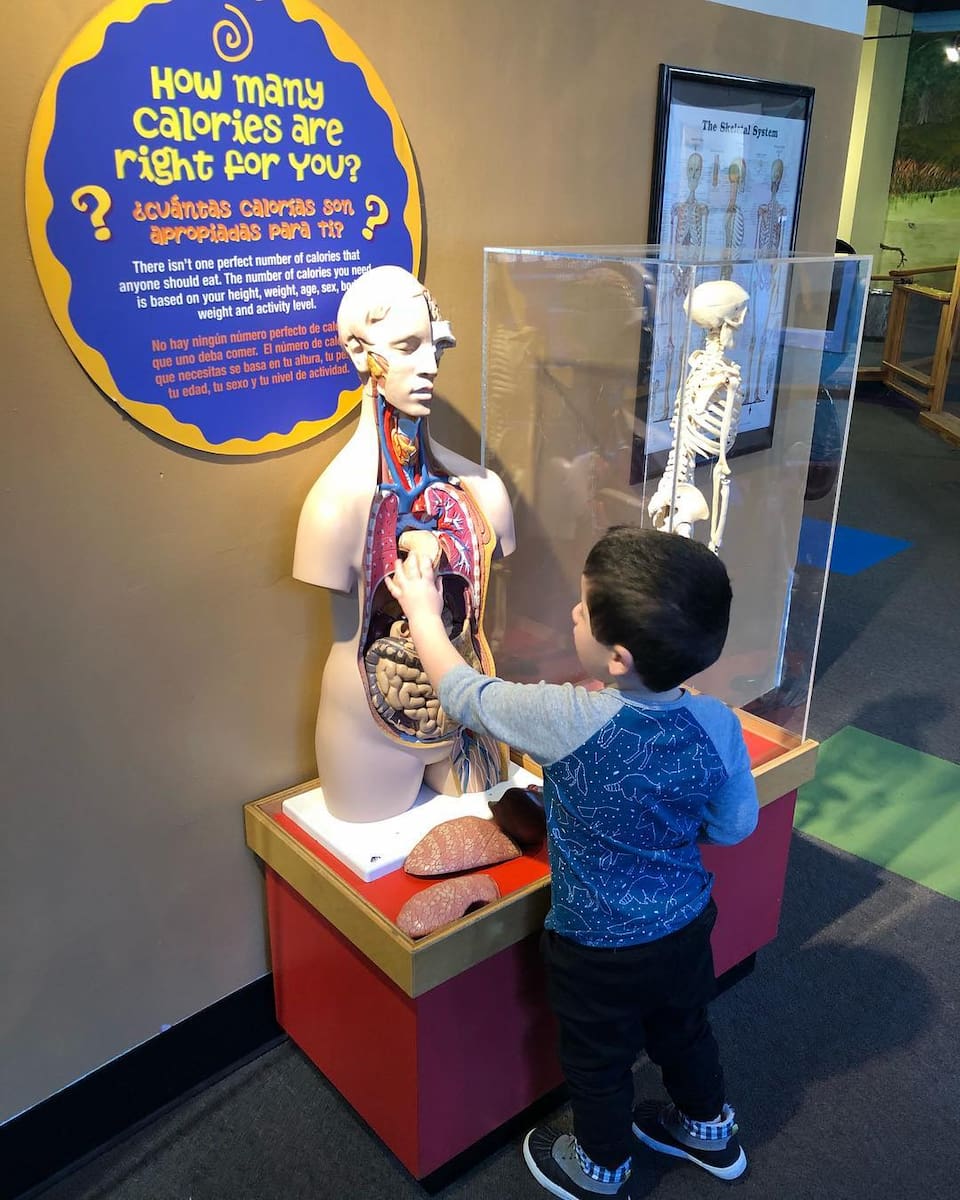 Explorium of Lexington, Lexington Explorium of Lexington, Lexington