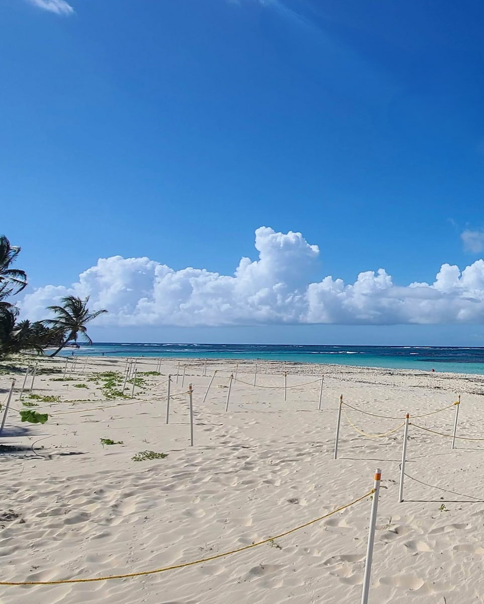 Flamenco Beach, San Juan Flamenco Beach, San Juan
