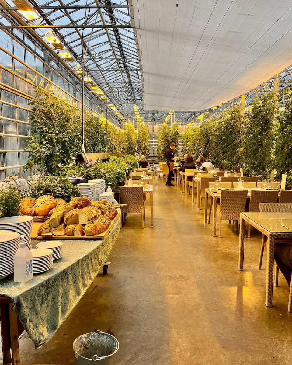 Friðheimar Greenhouse, Iceland Friðheimar Greenhouse, Iceland