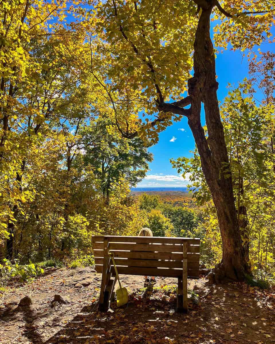 Gatineau Park, Canada Gatineau Park, Canada